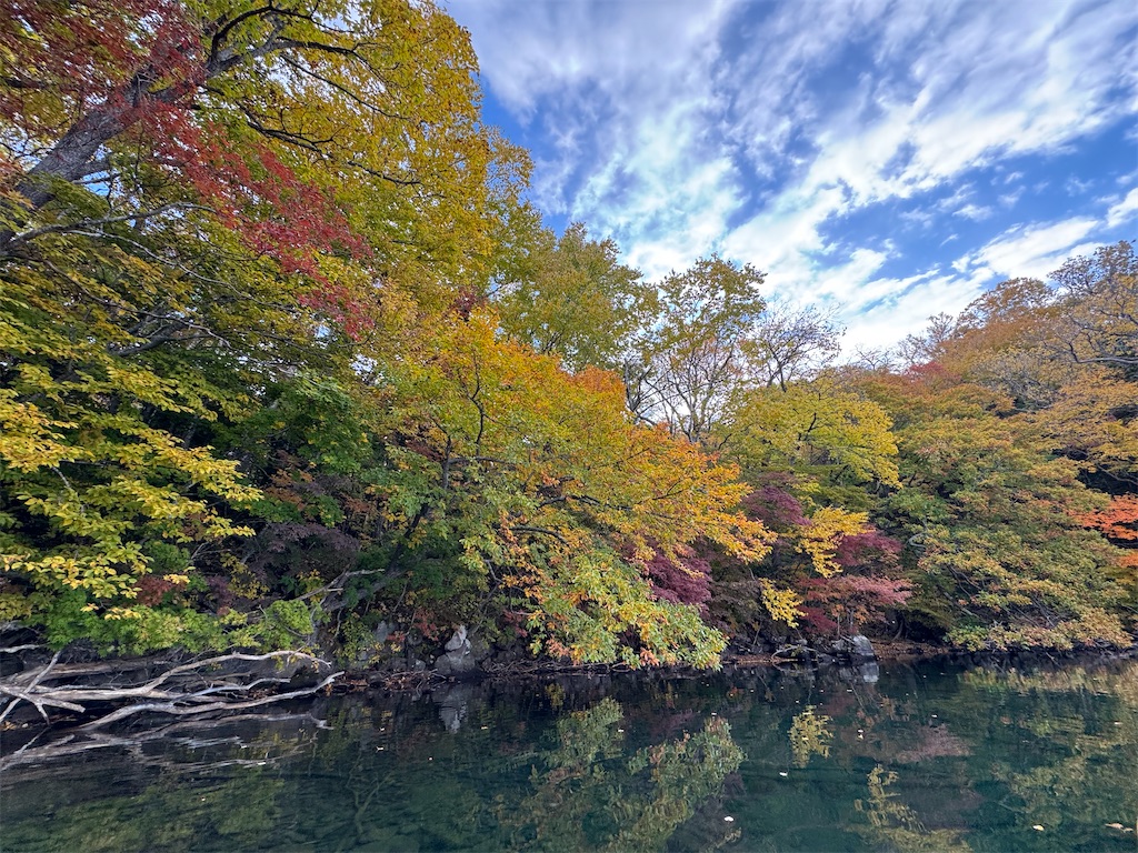 f:id:kouwadou2011:20251101200021j:image