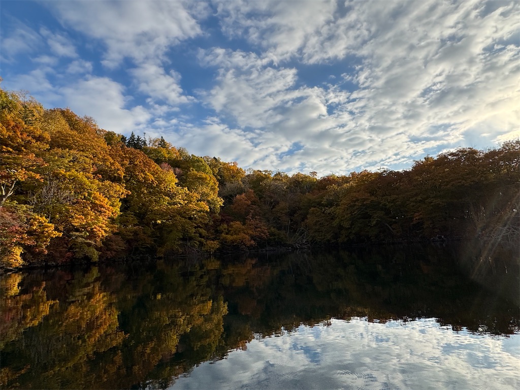 f:id:kouwadou2011:20251101200224j:image