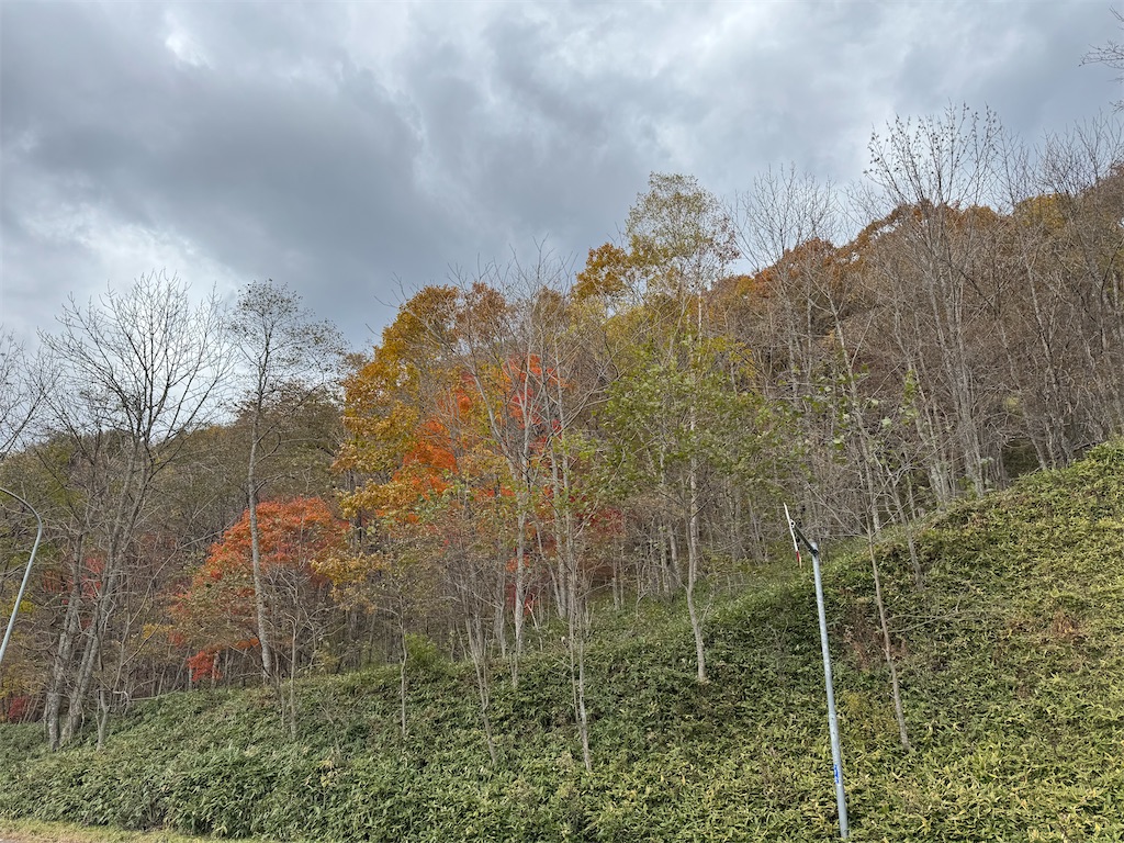f:id:kouwadou2011:20251101200501j:image