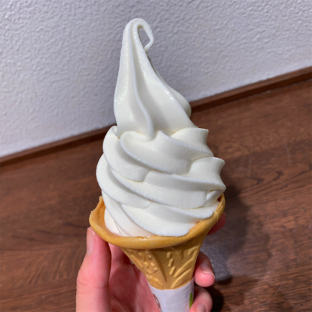 f:id:kouya12:20190611152717j:image