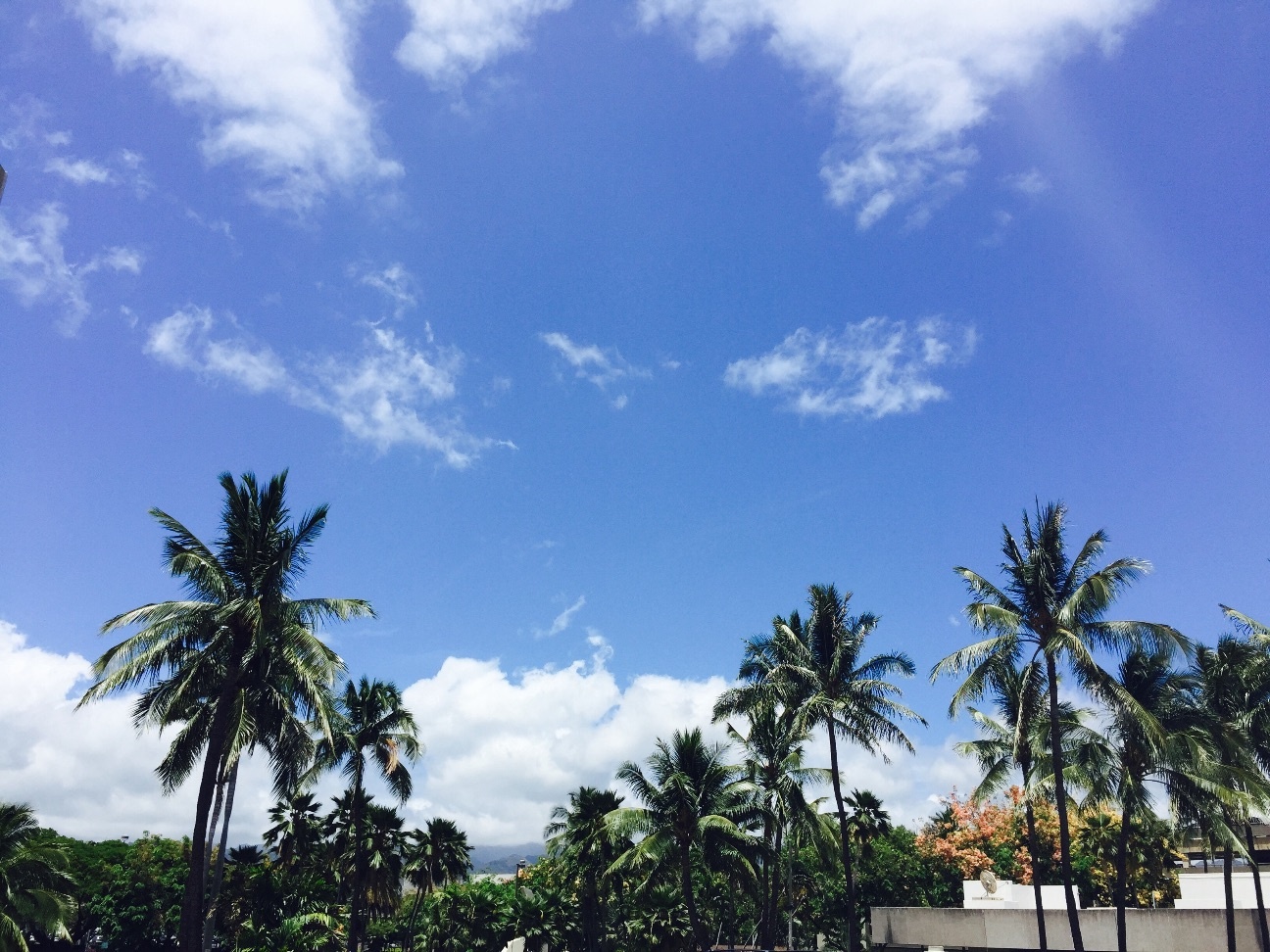 f:id:kowagari:20150714162438j:image f:id:kowagari:20150714162438j:image