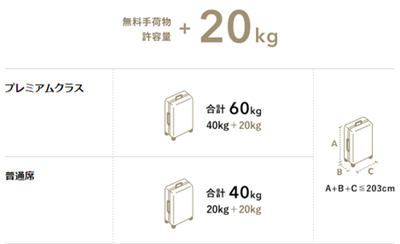 国内線手荷物許容量