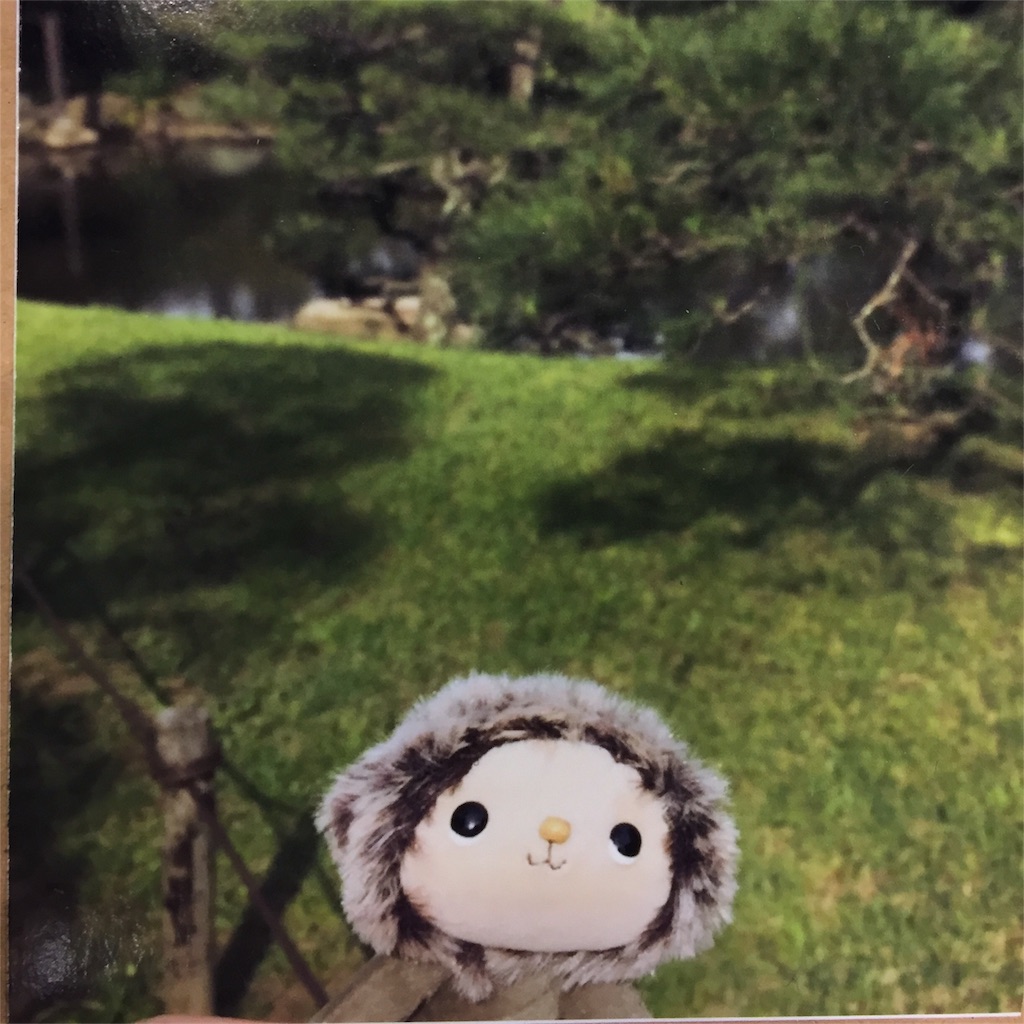 f:id:kowamiwa:20170601080048j:image f:id:kowamiwa:20170601080048j:image
