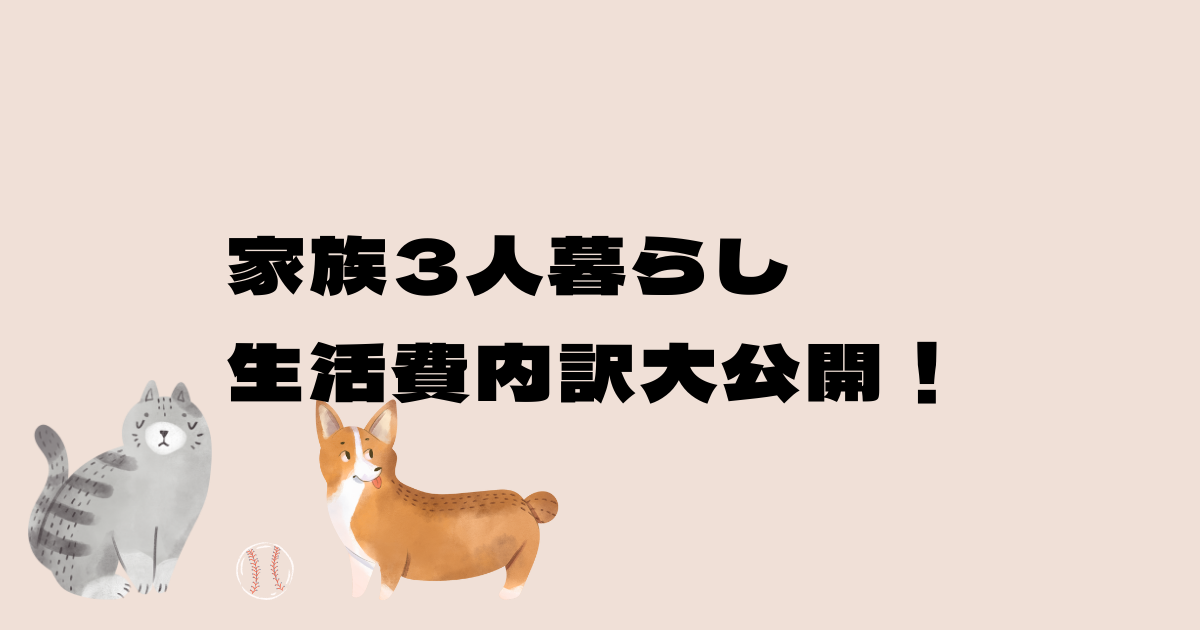 赤ちゃんと家族3人暮らしの生活費内訳を大公開 お金の管理 コワニブログ