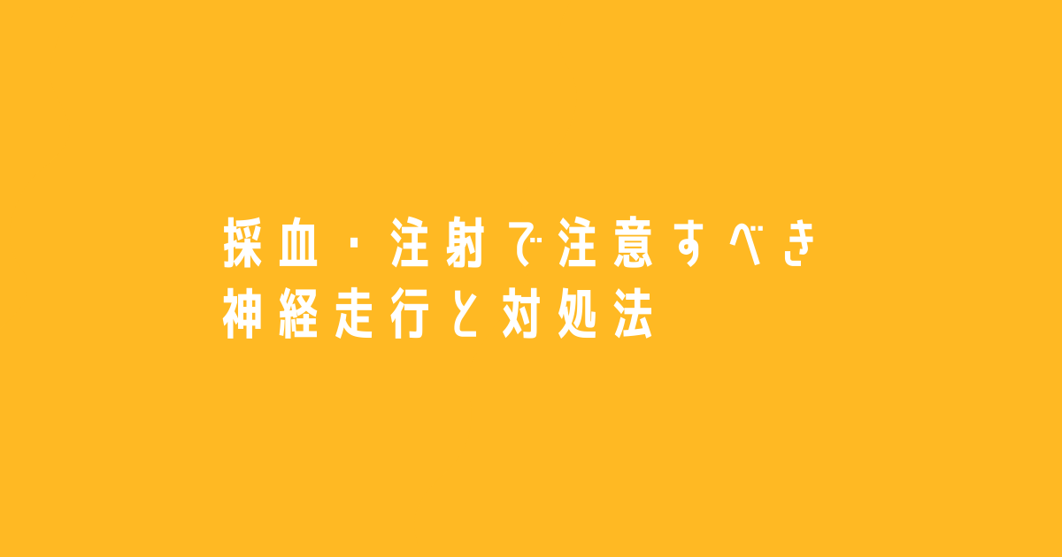 注射 採血時に注意すべき神経走行をわかりやすく解説 看護 コワニブログ