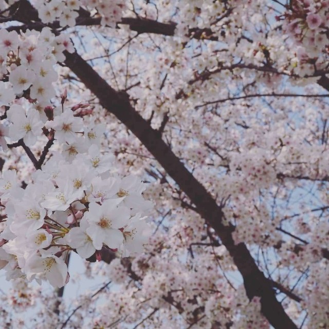 f:id:kowappa0228:20201027124645j:image f:id:kowappa0228:20201027124645j:image