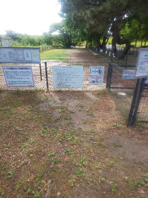 f:id:kowappa0228:20201104104253j:image f:id:kowappa0228:20201104104253j:image
