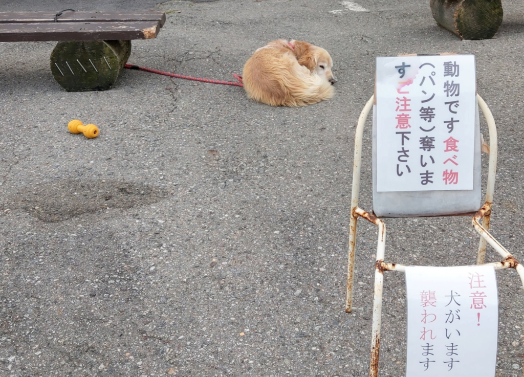 f:id:kowasuhito:20181108233956p:plain f:id:kowasuhito:20181108233956p:plain