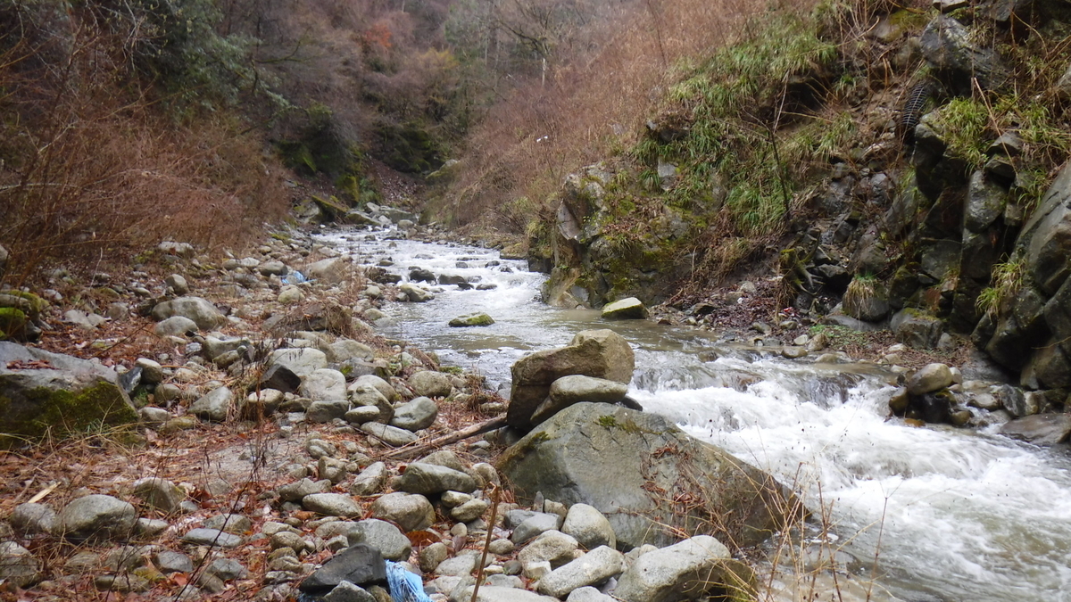 f:id:koxtupesama:20200330221055j:plain