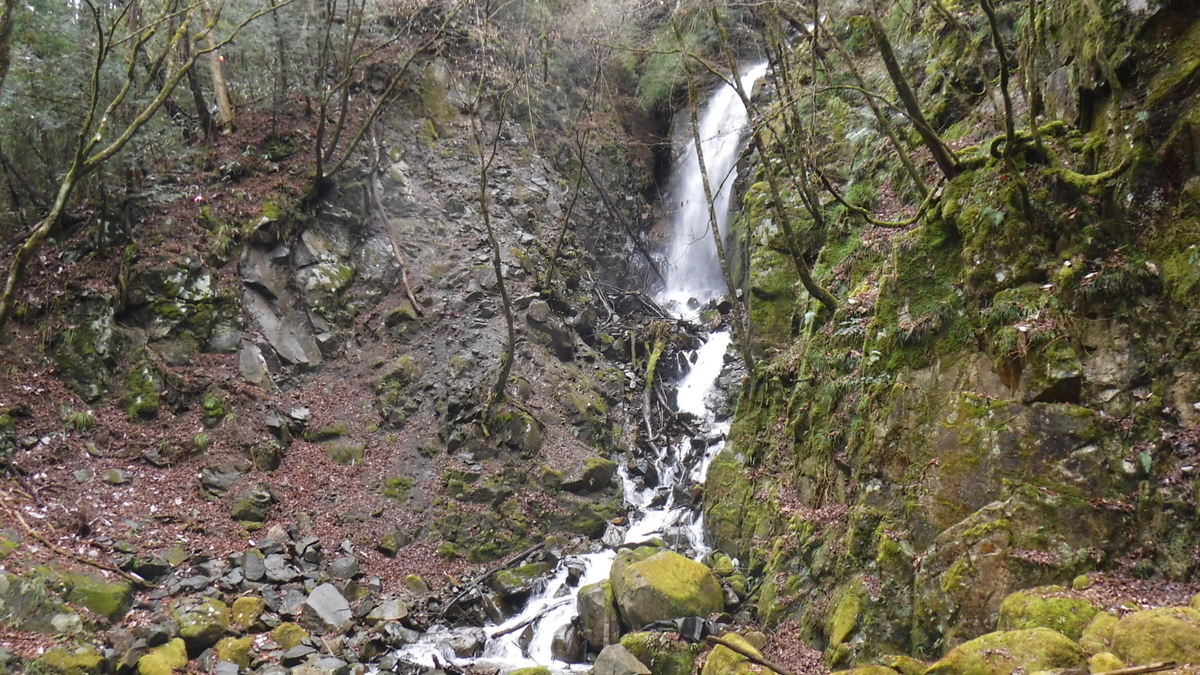 f:id:koxtupesama:20200330221207j:plain