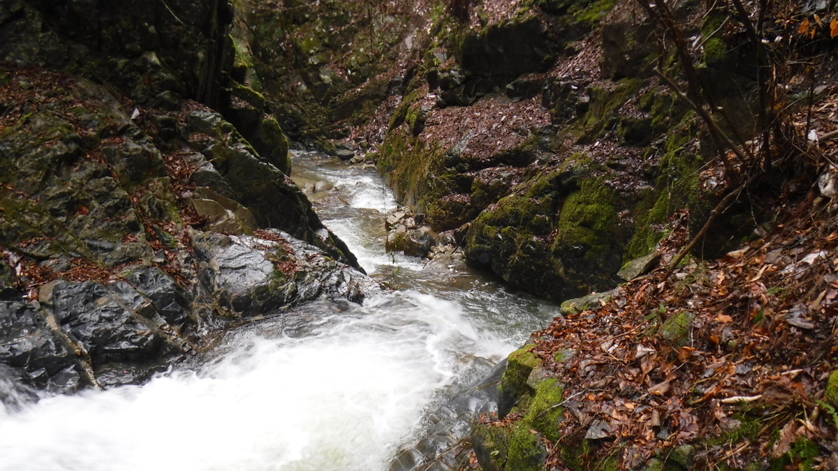 f:id:koxtupesama:20200330221234j:plain f:id:koxtupesama:20200330221234j:plain