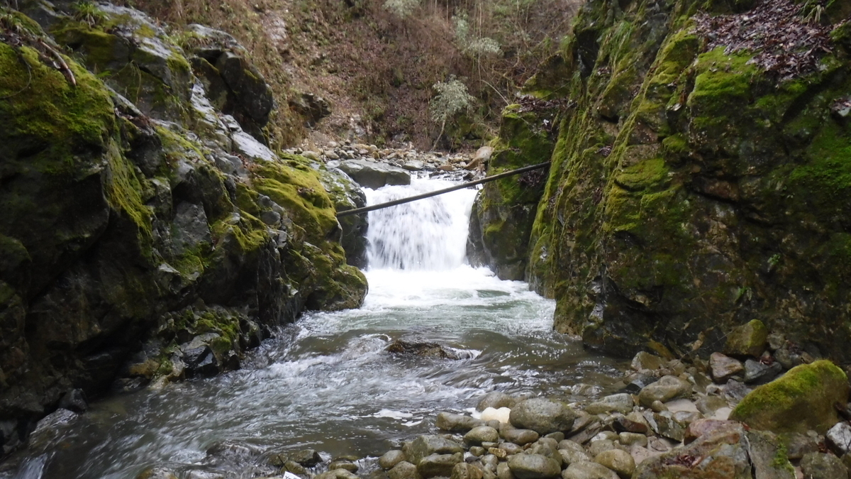 f:id:koxtupesama:20200330221242j:plain