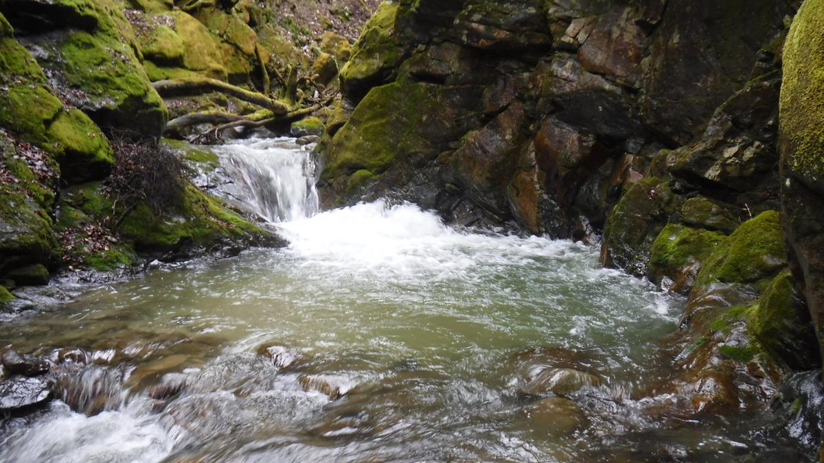 f:id:koxtupesama:20200330221250j:plain