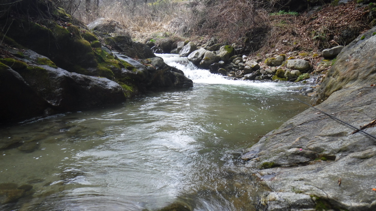 f:id:koxtupesama:20200330221331j:plain