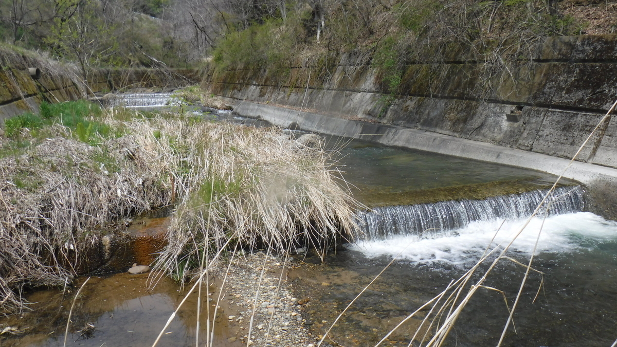 f:id:koxtupesama:20200429170543j:plain f:id:koxtupesama:20200429170543j:plain