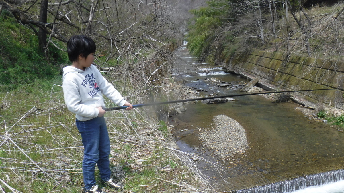 f:id:koxtupesama:20200429170549j:plain f:id:koxtupesama:20200429170549j:plain