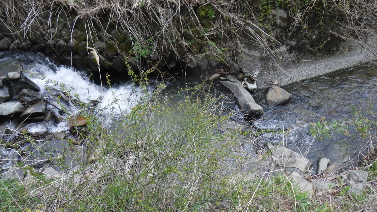 f:id:koxtupesama:20200429170630j:plain f:id:koxtupesama:20200429170630j:plain