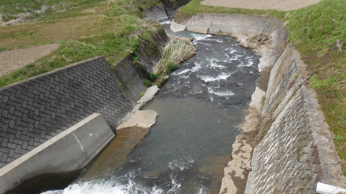 f:id:koxtupesama:20200429170711j:plain f:id:koxtupesama:20200429170711j:plain