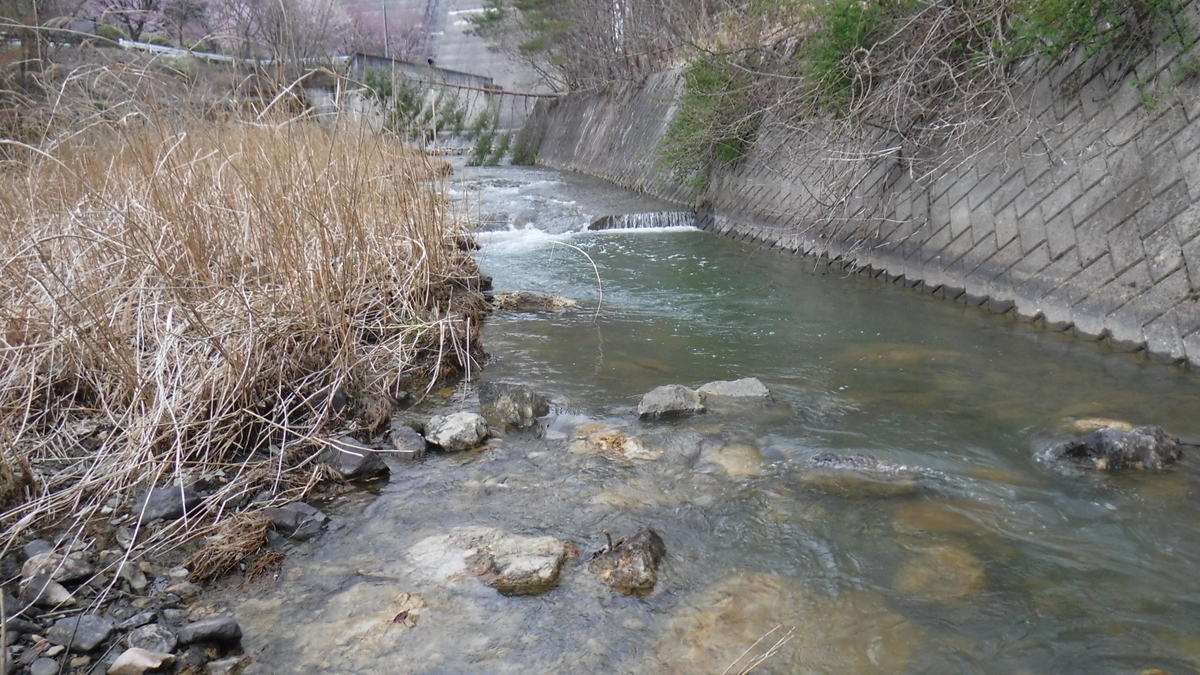 f:id:koxtupesama:20200429170736j:plain f:id:koxtupesama:20200429170736j:plain