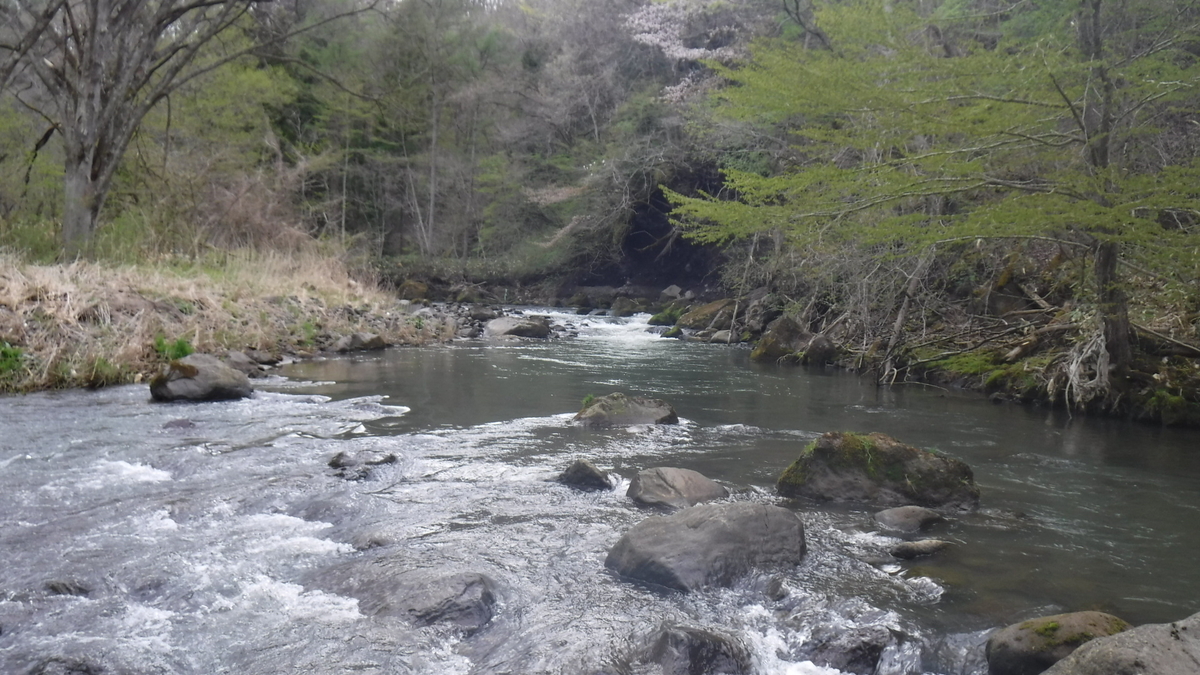 f:id:koxtupesama:20200506162150j:plain