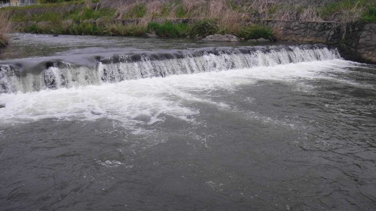 f:id:koxtupesama:20200506162654j:plain