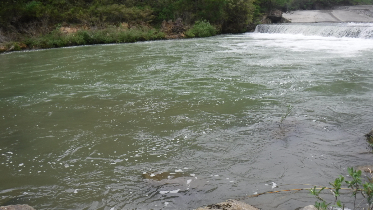 f:id:koxtupesama:20200506162843j:plain