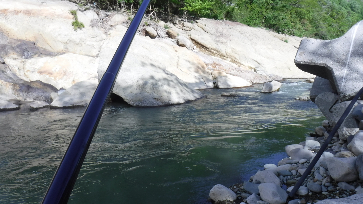 f:id:koxtupesama:20200517205848j:plain f:id:koxtupesama:20200517205848j:plain