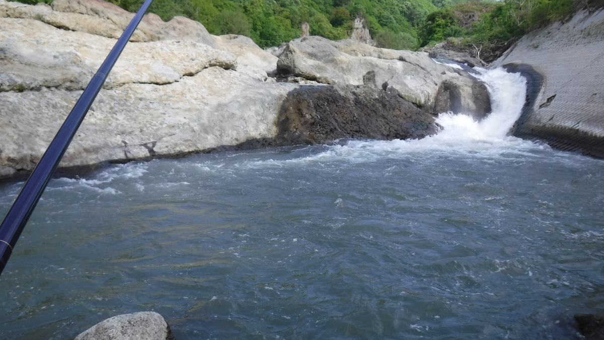 f:id:koxtupesama:20200517205855j:plain f:id:koxtupesama:20200517205855j:plain