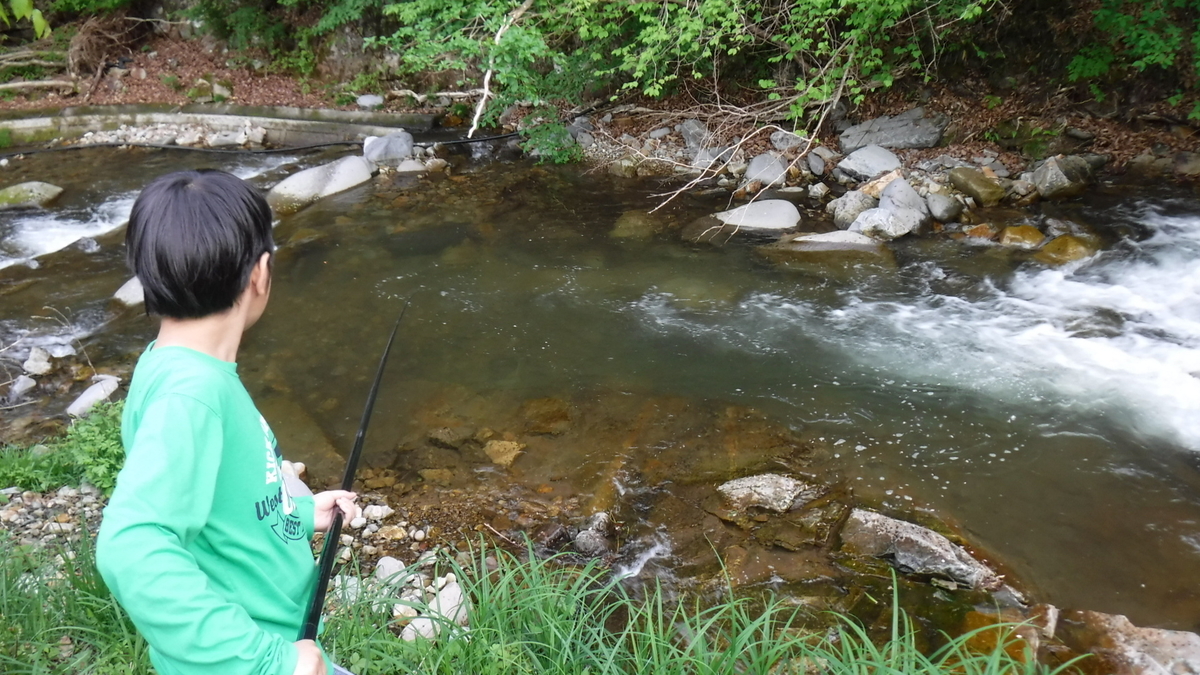 f:id:koxtupesama:20200517205908j:plain f:id:koxtupesama:20200517205908j:plain