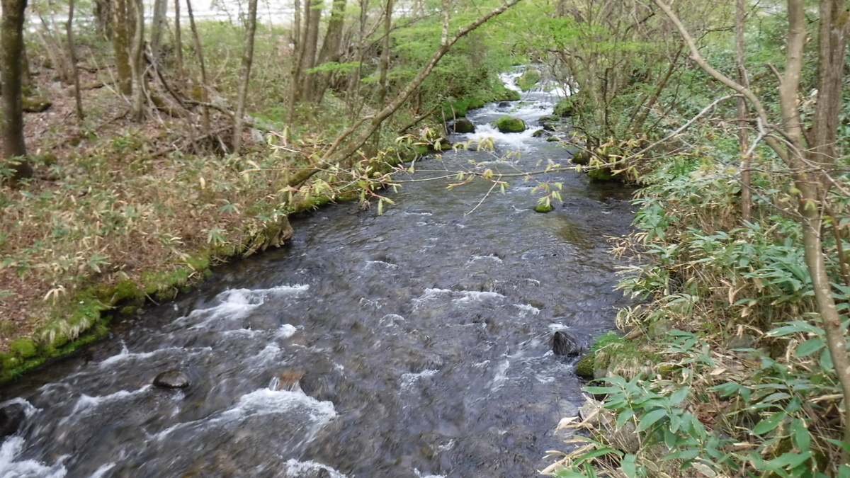 f:id:koxtupesama:20200517205931j:plain f:id:koxtupesama:20200517205931j:plain