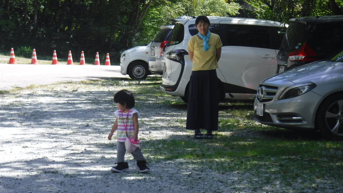 f:id:koxtupesama:20200908171714j:plain f:id:koxtupesama:20200908171714j:plain