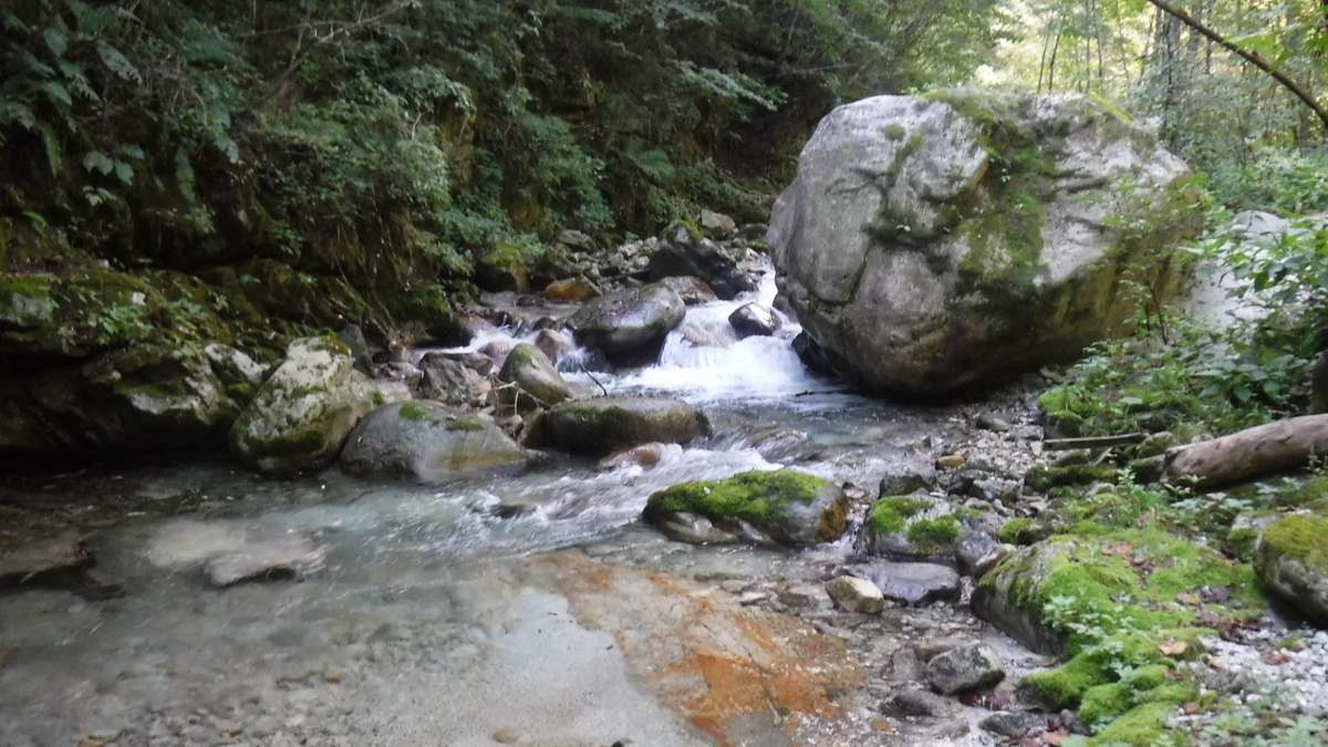 f:id:koxtupesama:20200908171738j:plain f:id:koxtupesama:20200908171738j:plain