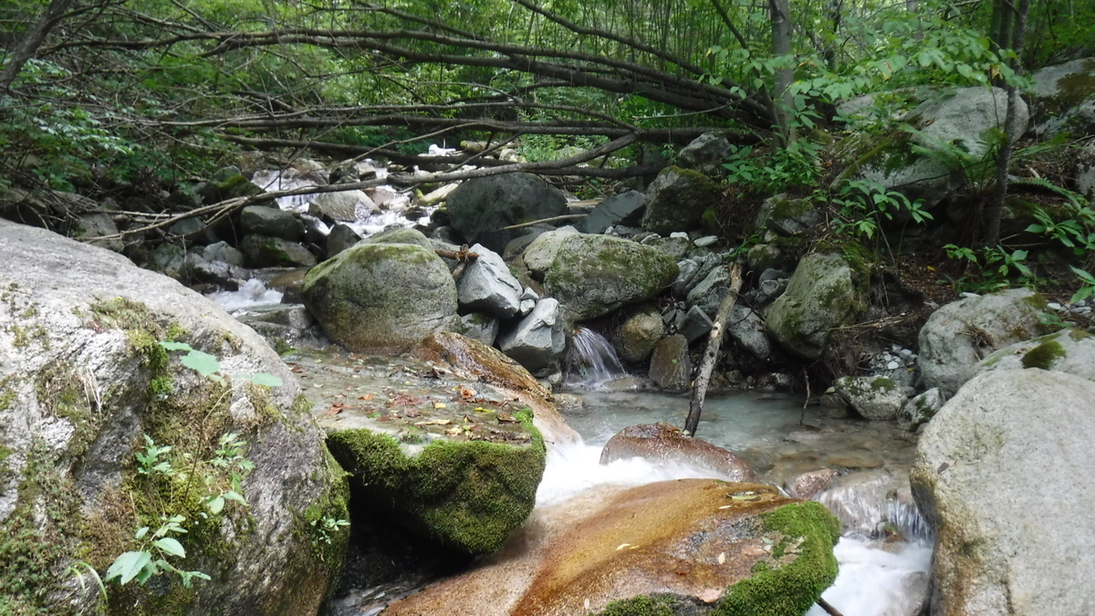 f:id:koxtupesama:20200908171754j:plain f:id:koxtupesama:20200908171754j:plain