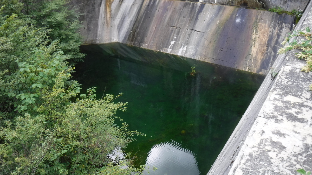 f:id:koxtupesama:20200908171811j:plain f:id:koxtupesama:20200908171811j:plain