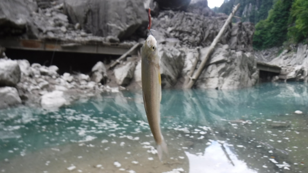 f:id:koxtupesama:20200908171843j:plain f:id:koxtupesama:20200908171843j:plain