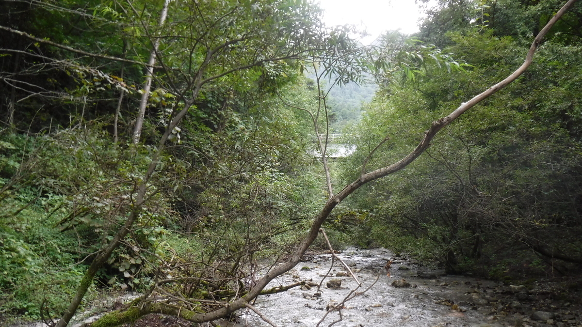 f:id:koxtupesama:20200908171859j:plain f:id:koxtupesama:20200908171859j:plain