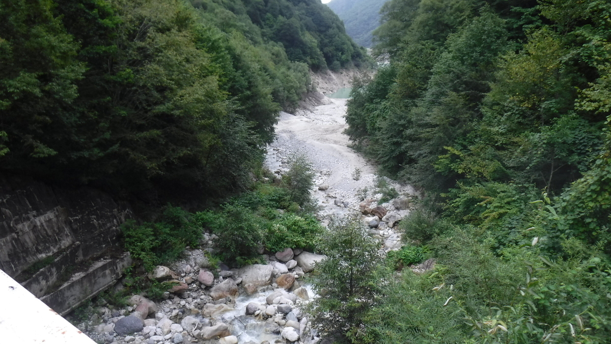 f:id:koxtupesama:20200908171908j:plain f:id:koxtupesama:20200908171908j:plain