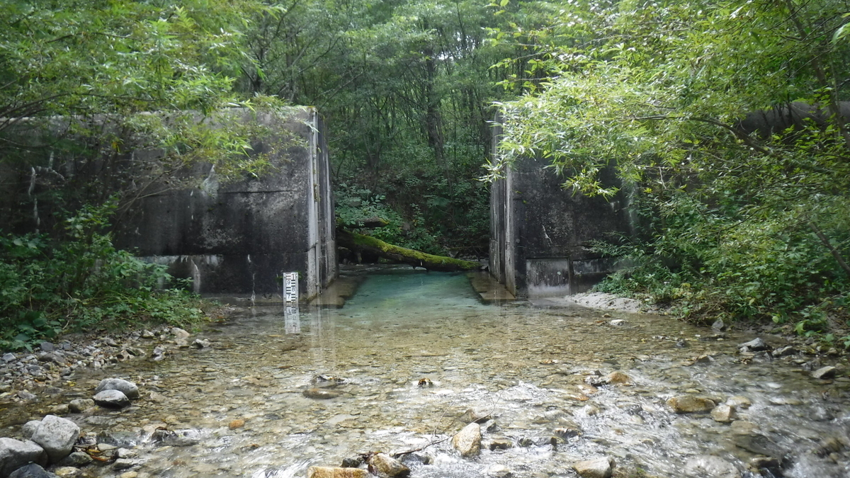 f:id:koxtupesama:20200908172657j:plain f:id:koxtupesama:20200908172657j:plain