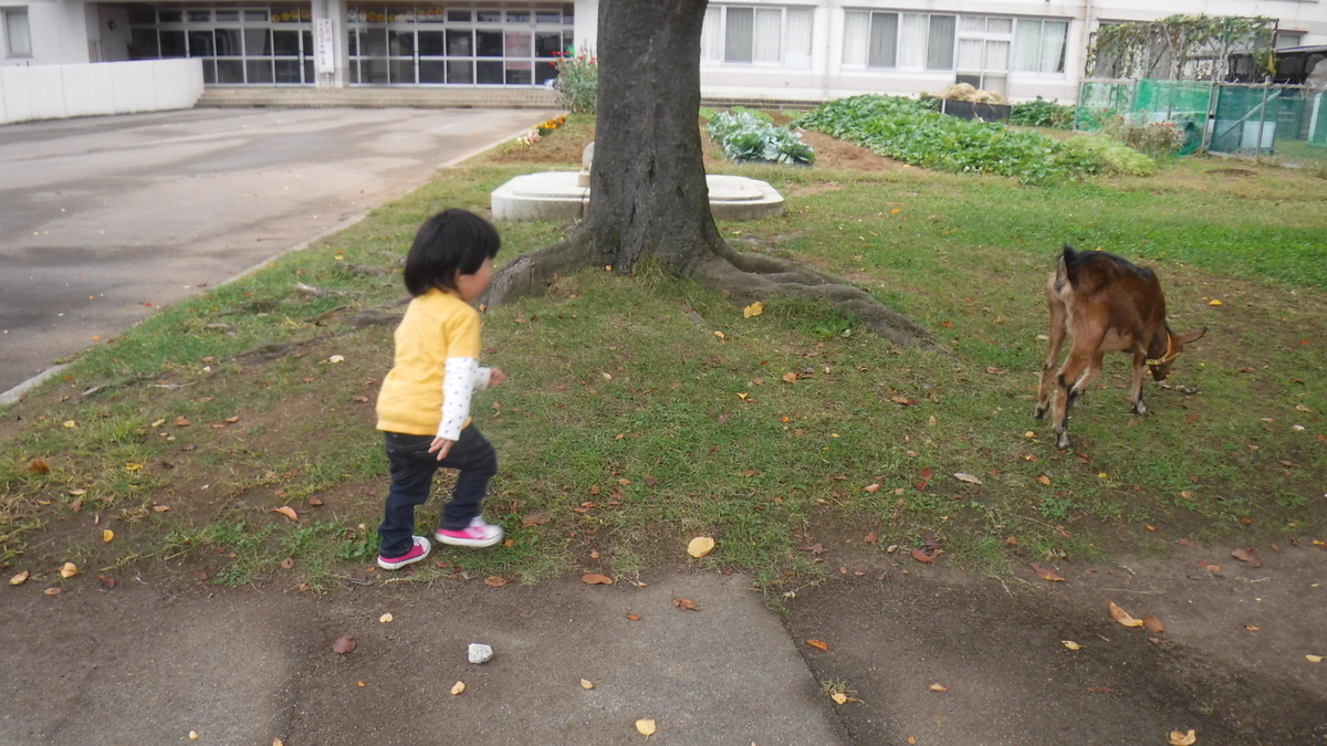 f:id:koxtupesama:20201018093715j:plain f:id:koxtupesama:20201018093715j:plain