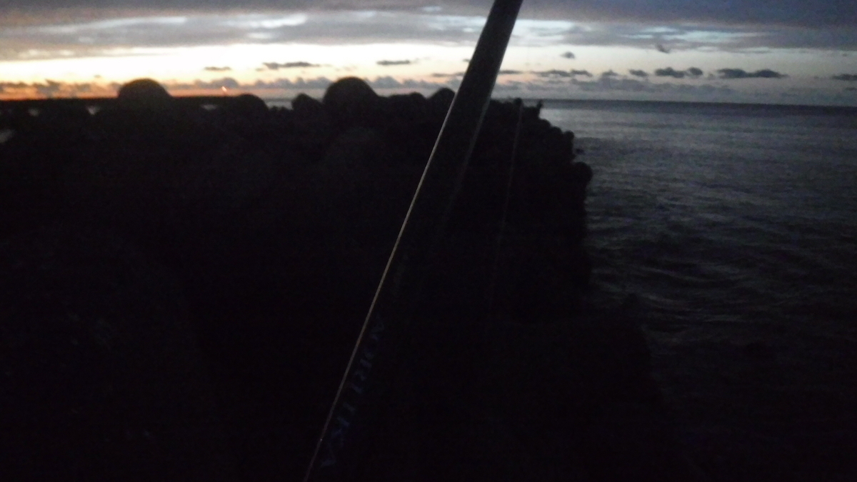 f:id:koxtupesama:20201018093847j:plain f:id:koxtupesama:20201018093847j:plain