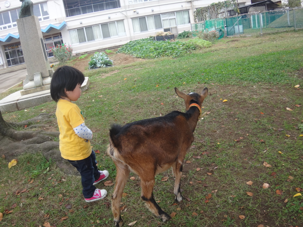 f:id:koxtupesama:20201018093958j:plain f:id:koxtupesama:20201018093958j:plain