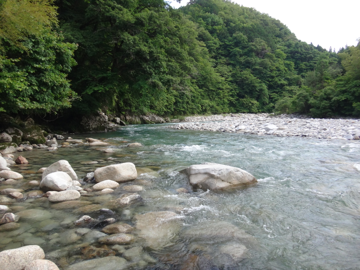 f:id:koxtupesama:20210601202822j:plain