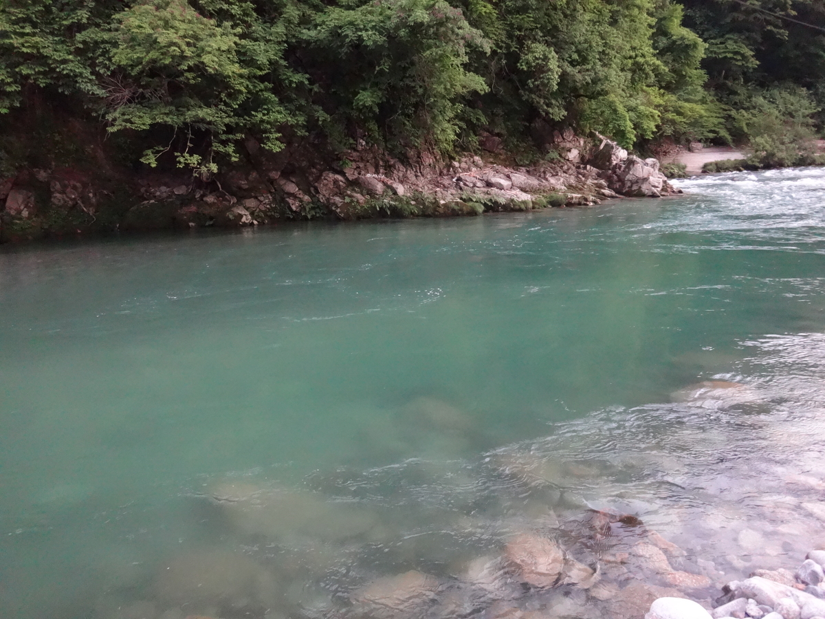 f:id:koxtupesama:20210601202834j:plain