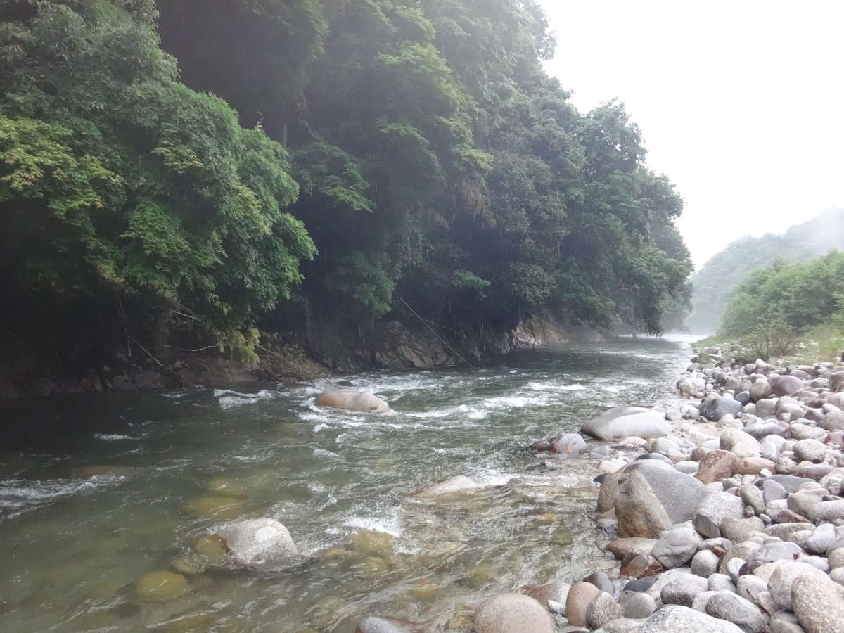 f:id:koxtupesama:20210619213434j:plain