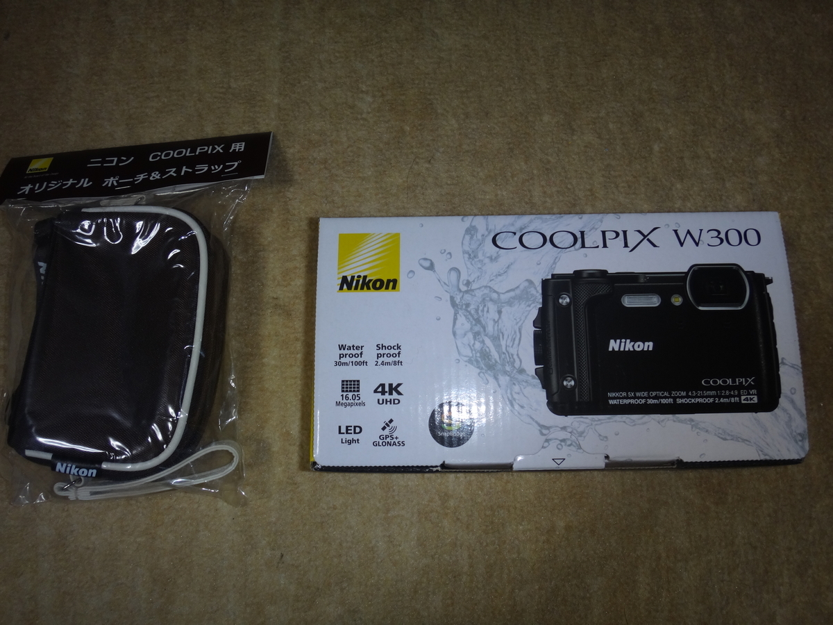 f:id:koxtupesama:20210619213528j:plain