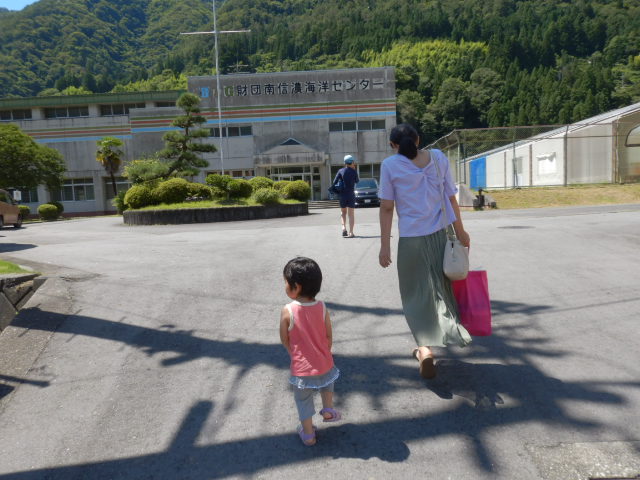 f:id:koxtupesama:20210718215014j:plain