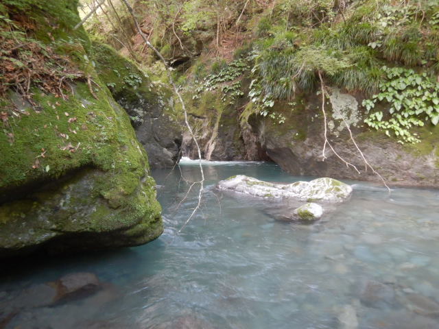 f:id:koxtupesama:20210718215028j:plain