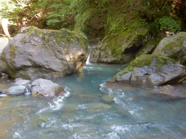 f:id:koxtupesama:20210718221021j:plain