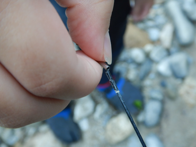 f:id:koxtupesama:20210807203426j:plain