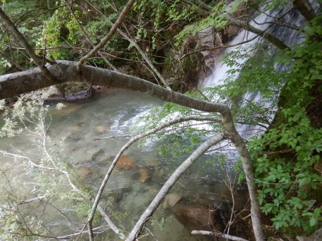 f:id:koxtupesama:20210807203632j:plain